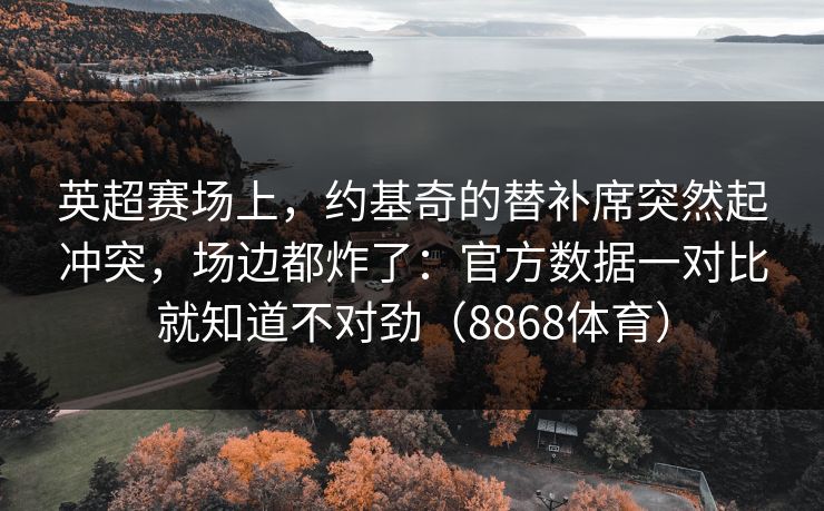英超赛场上，约基奇的替补席突然起冲突，场边都炸了：官方数据一对比就知道不对劲（8868体育）
