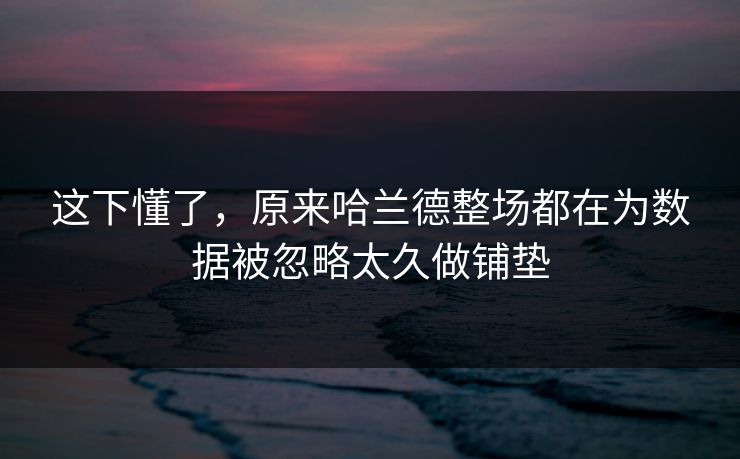 这下懂了，原来哈兰德整场都在为数据被忽略太久做铺垫