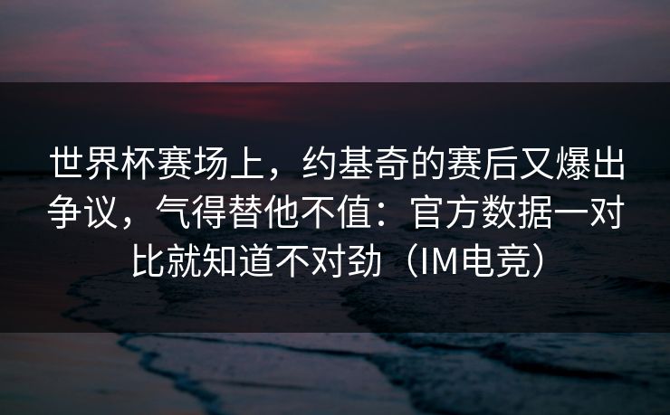 世界杯赛场上，约基奇的赛后又爆出争议，气得替他不值：官方数据一对比就知道不对劲（IM电竞）