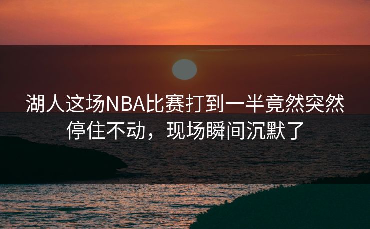 湖人这场NBA比赛打到一半竟然突然停住不动，现场瞬间沉默了