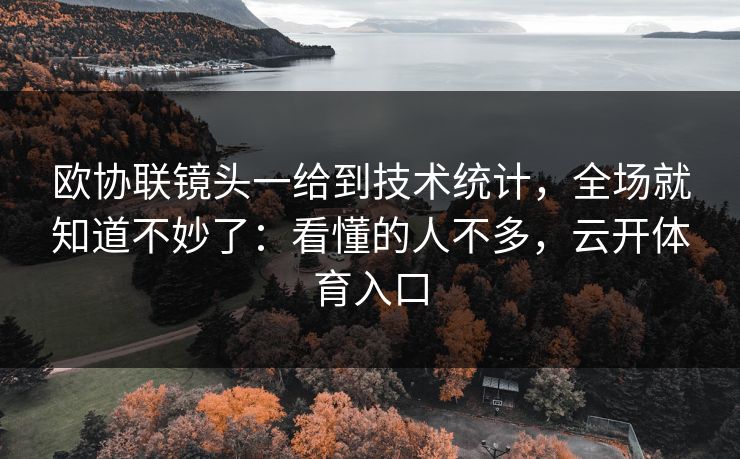 欧协联镜头一给到技术统计，全场就知道不妙了：看懂的人不多，云开体育入口